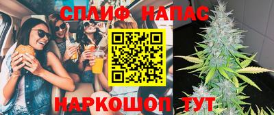 индика Тверь